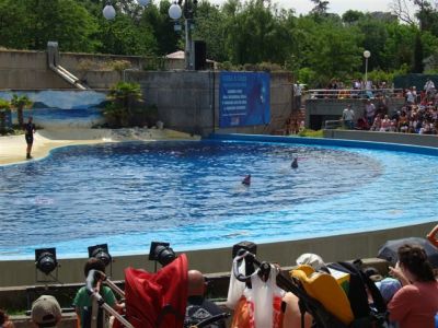 Zoo-Parque_(58).jpg