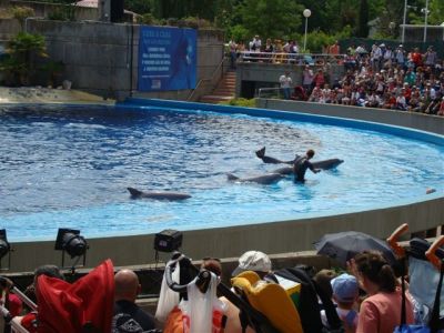 Zoo-Parque_(65).jpg