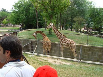 Zoo-Parque_(74).jpg