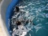 Zoo-Parque_(7)~0.jpg