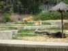 Zoo-Parque_(73).jpg