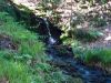 DSC00997.JPG