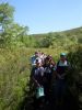 SDC10574.JPG