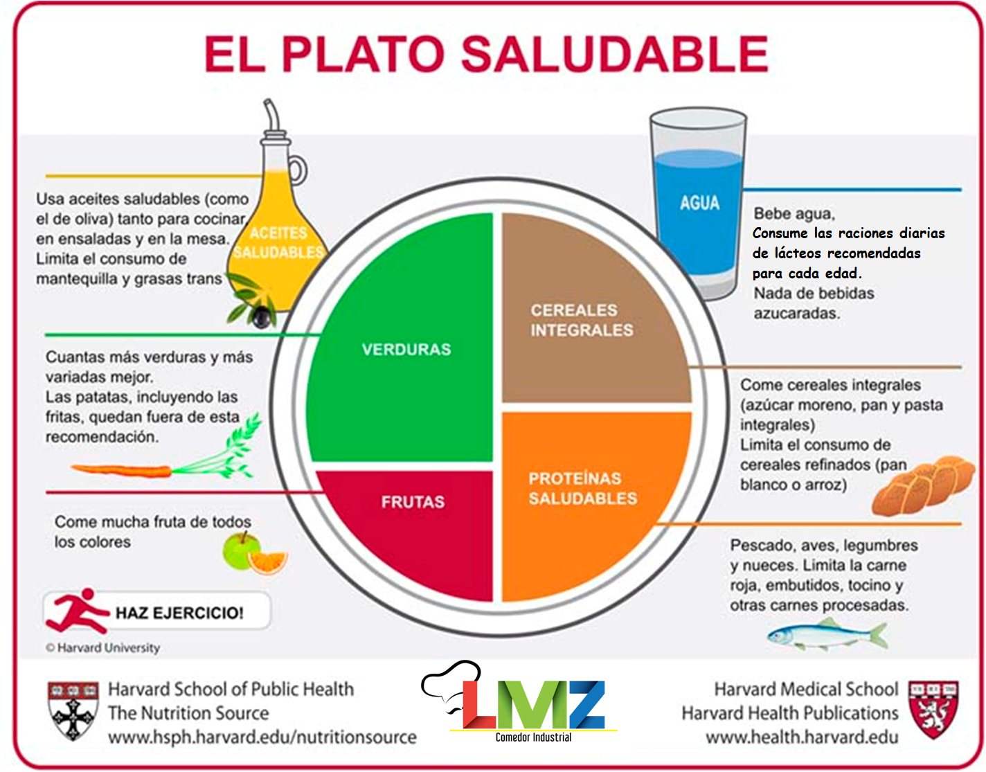 Plato saludable de Harvard
