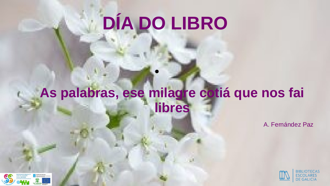 Cartel do Día do Libro