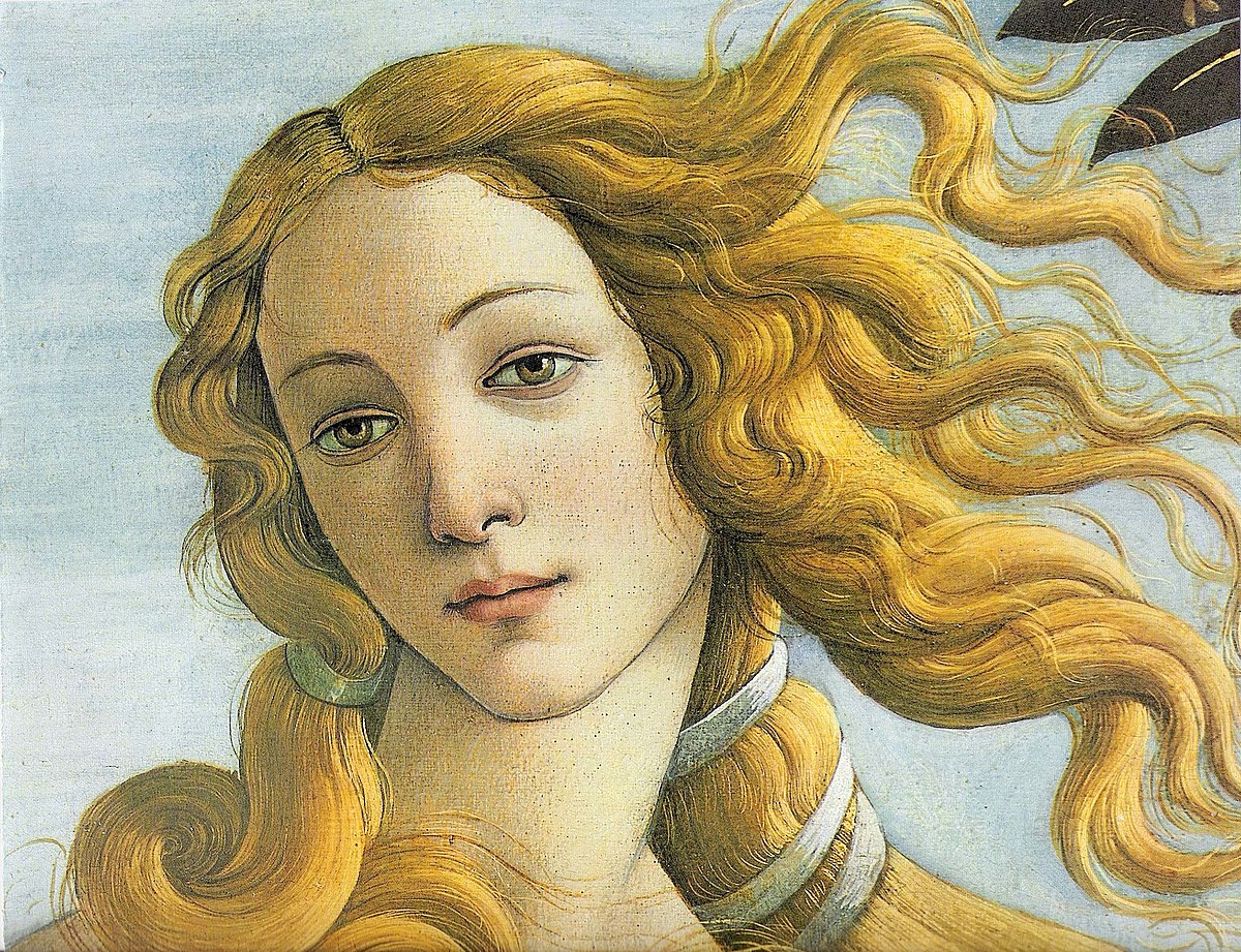 Venus Boticcelli