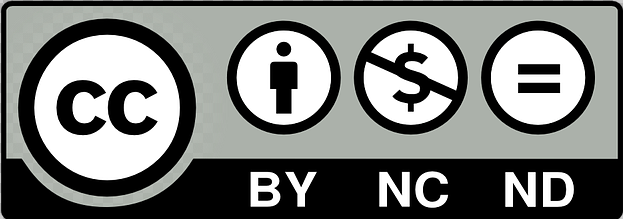 licenza creative commons non comercial