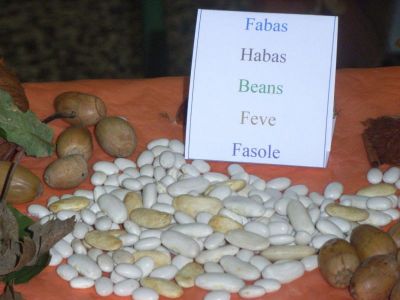 FABAS~0.jpg