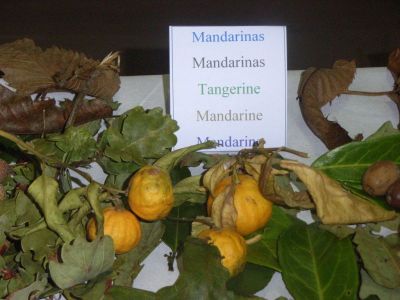 MANDARINAS.jpg
