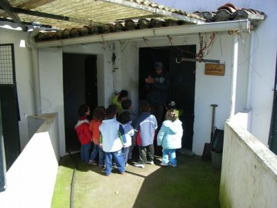 RIMG0004.jpg