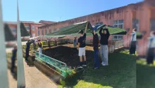 horta