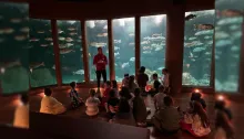 aquarium