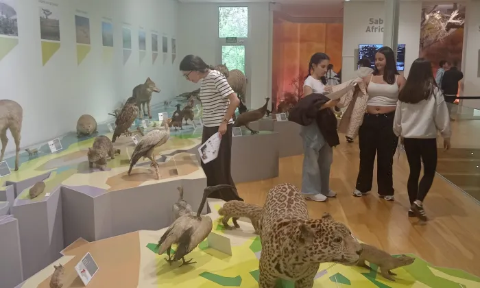 Sala biomas