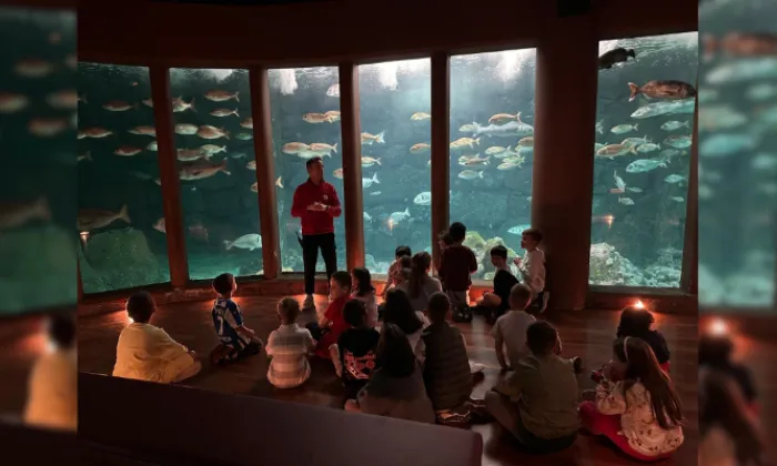 aquarium