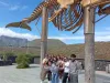 Tenerife 45