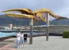 Tenerife 62