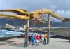 Tenerife 64