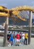 Tenerife 65