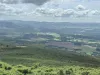 Paisaxe de Alejandro