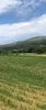 Paisaxe de Begoña