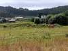 Paisaxe de Rubén