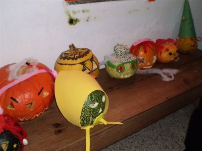Foto_870~0.jpg