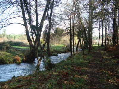 Río Té cerca de Carballal
