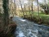 DSC06748.JPG