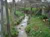DSC06765.jpg