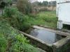 DSC06775.jpg