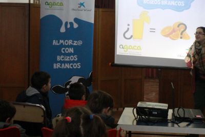 Porque almorzos con beizos brancos?
