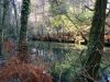 DSC00186.JPG