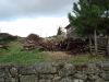 DSC00659.JPG