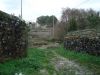 DSC00769.JPG