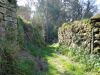 DSC01187.JPG