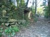 DSC01190.JPG