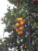 DSC01531.JPG