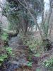 DSC01550.JPG