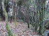 DSC01553.JPG