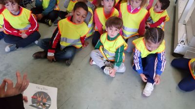 SEGURIDADE VIAL
