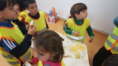 SEGURIDADE VIAL
