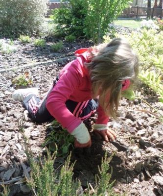Diana_plantando_coleos.JPG