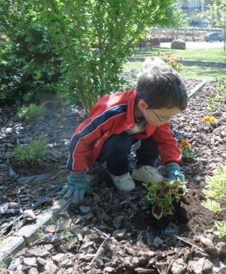 Gabriel_plantando_coleos.JPG