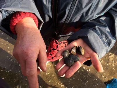 IMG-20180202-WA0067_[800x600].jpg