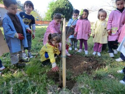 Leiro_Plantando_Figueira_(7).JPG