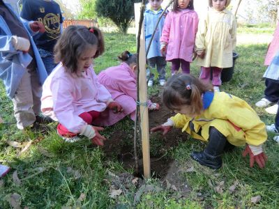 Leiro_Plantando_Figueira_(8).JPG