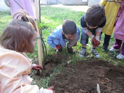 Leiro_Plantando_Figueira_(9).JPG