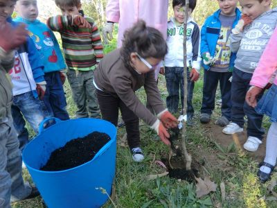 Lois_plantando_Pereira_(16).JPG