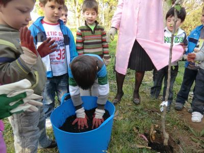 Lois_plantando_Pereira_(17).JPG