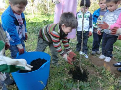 Lois_plantando_Pereira_(25).JPG